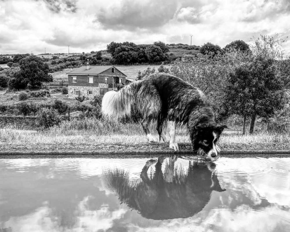 31102304-c3a4-489c-8f23-712fb708f3db