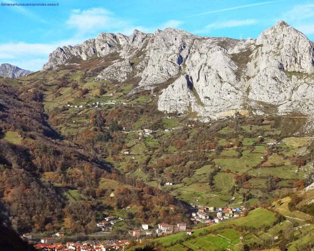 Carrasco o Acebo Sariego